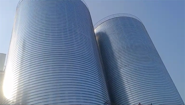 永定2座混凝土高架卷板仓